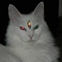 Tania Joselyn Montalvo De la torre