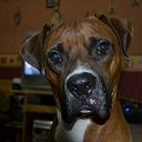 Andrea Patricia Magdalena Villagra