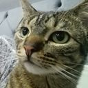 Laura Sofía Martínez Tovar