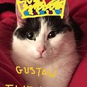 Gustaw Puffpuff