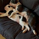 Fermin Bernal Centurión