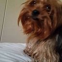 Gabbrielli Gabbriella