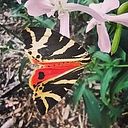 Paloma Blanquer Monllor