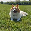 clairelovescrocheting