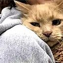 Delia Izquierdo Illescas