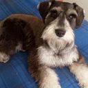 Sergio Escobedo Melgar