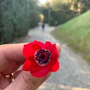 Andrea Maia Fernandes de Araújo