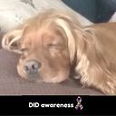 Laura Sofia Benavides Zuluaga