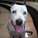 German Natanael Cubas Lopez