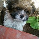 Beatriz Castillo Trujillo