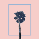 Regina Gutierrez Bravo