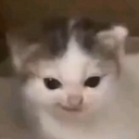 大芫 彭