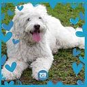 MARTA CECILIA GARCIA ARCILA