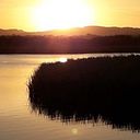 Jose Rafael De La Ossa Pineda