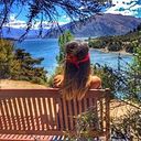 isabelgallardo_olavarria