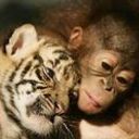 Carmen Rosa Ramos Ceballos