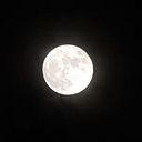 Gabriela Soria-Sierra