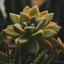 Cesar Honorio Castañeda