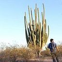 FIdel Rojo de Santiago