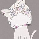 Barbara Campos Toledo