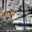 Catherine Pilkerton Knox