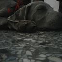 América Henríquez Moreno