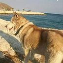 Ana Belen Hidalgo Valero