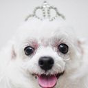 Duangporn Supasaringkarn