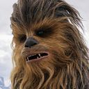 Stew Bacca