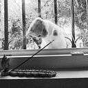 Eloy Martínez González