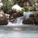 ירון נועם יוסף