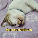 Wiruj Suwanpramote