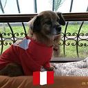 Ana María Arróspide