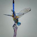 Jean Hardesty-Prater