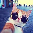 Rafael J Rivera Rivfael