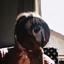 Adolfo Fernández Piñeiro