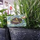 Kenia Cristina Dos Santos