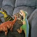 Valentina Catalan Vera