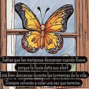 Sandra M. Fernández