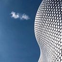 Javier Estrada Venegas