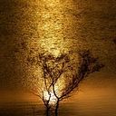 Diego Garcia Altable