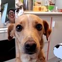 Cristina Creativacrea