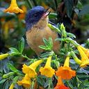 Jorge Eliécer Ocampo Cano