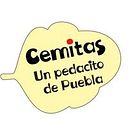 Poblanas de Leon Cemitas