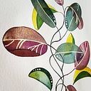 Stefy Alifeinwatercolor