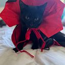 Larissa Dos Santos De Oliveira