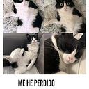 Macarena Olivas López