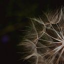 Grażyna Rant-Rodzik