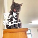 寵惠 王