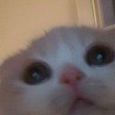 Sebastian Castañeda Guerrero